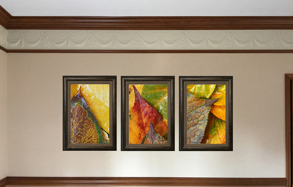 "Intimate Autumn" VF triptych of framed images