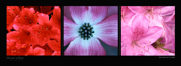 "Messengers of Spring", triptych