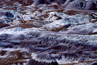 Petrified Forest Badlands Landscape