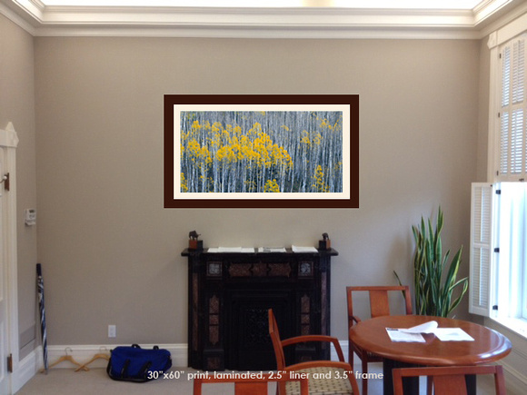 "Traces of Autumn" 25"x50" photograph, laminated, linen liner and frame.
