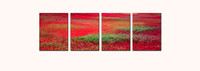 "Monet's Blueberry Fields" quadtych