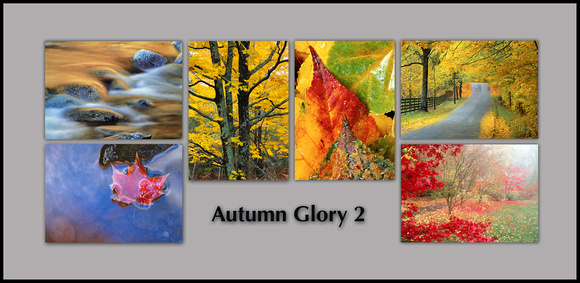 Notecard Set:  Autumn Glory 2