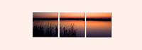 "Cattail Sunset 1" triptych