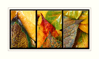 "Intimate Autumn" triptych