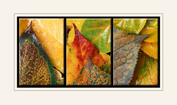 "Intimate Autumn" triptych