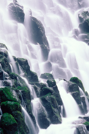 Ramona Falls in the Oregon Cascades V