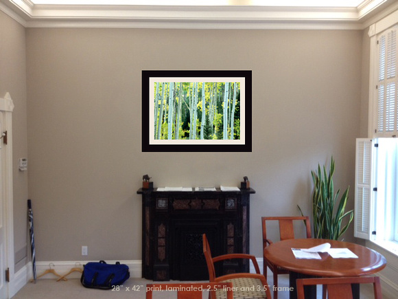 "Going for Gold" 28"x42" photograph laminated, linen liner, frame