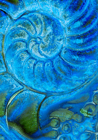 blue Nautilus shell impression 1 V