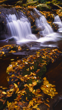 Waterfall - North Carolina