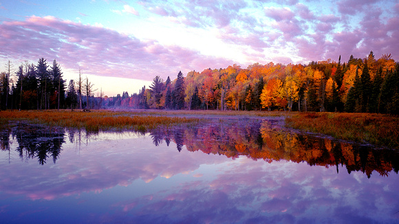 "Beaver Pond Sunrise"