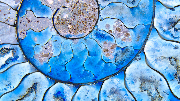 Blue ammonite 3b