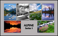 Notecard Set:  ALPINE Series 1