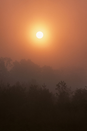 Sunrise thru Fog