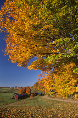 Rural Vermont in Autumn