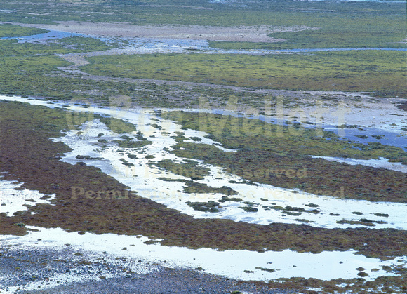 Loch Duich Tidal Flats