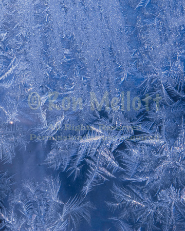 Frost Crystals 2