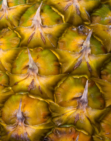 Pineapple Patterns 1