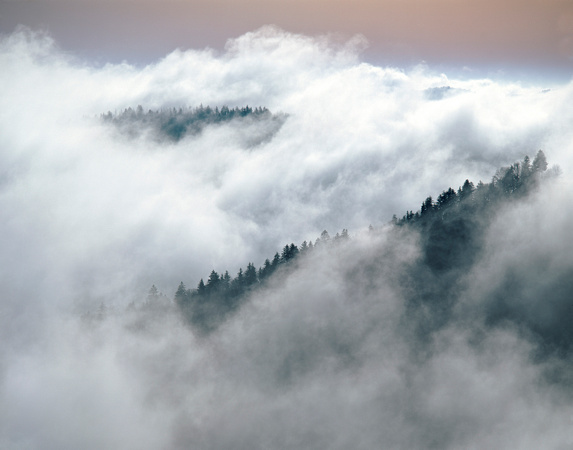 Blue Ridge Fog